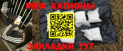 сатива Новокубанск