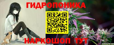 ешки Новозыбков