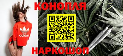 сатива Новокубанск