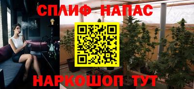 сатива Новокубанск
