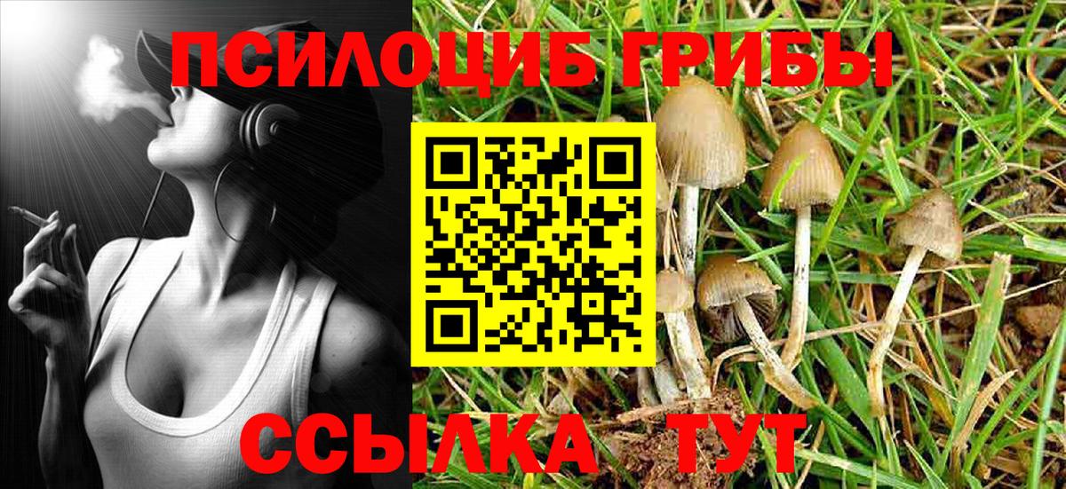 Чайковский  что такое наркотик  Галлюциногенные грибы мухоморы  Вход с VPN  Галлюциногенные грибы Cubensis 